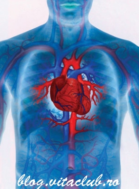 afectiuni si boli ale sistemului cardio-vascular