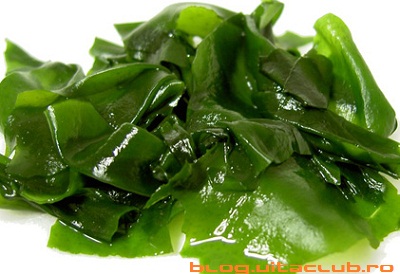 wakame-alge verzi-gust usor dulceag,vitamine,minerale,iod,calciu,b6,b12