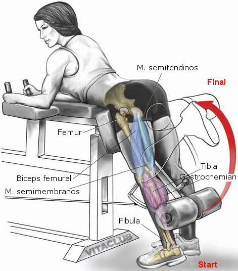 Flexia coapsei cu un picior din stand e un exercitiu pentru zona posterioara a coapsei, in principal bicepsul femural