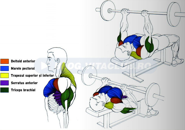 exercitii triceps de impins cu priza ingusta